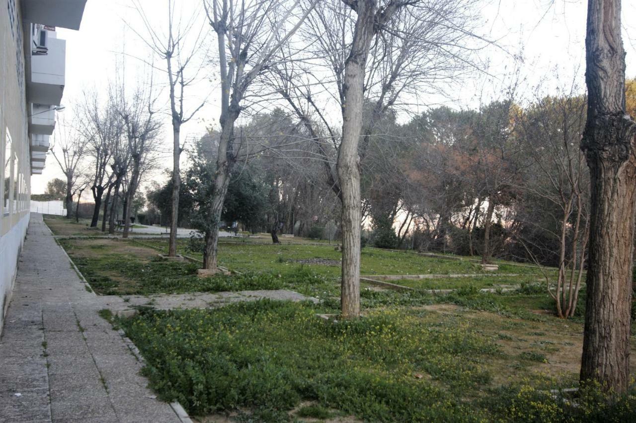 Bonito Apart. Con Parking Y Piscina Mairena del Aljarafe Zewnętrze zdjęcie
